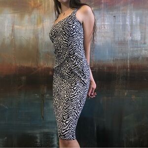 Size 4 Banana Republic Zebra Print Pencil Dress